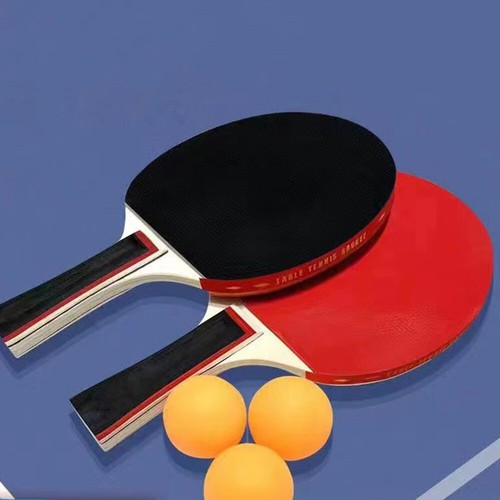 Player table tennis bats and - table,